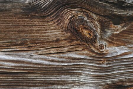dark dry wood texture close-up, macro photography
