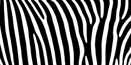 Black and white zebra skin vector patternの写真素材
