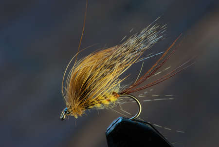 handmade fishing fly, fly tyingの写真素材