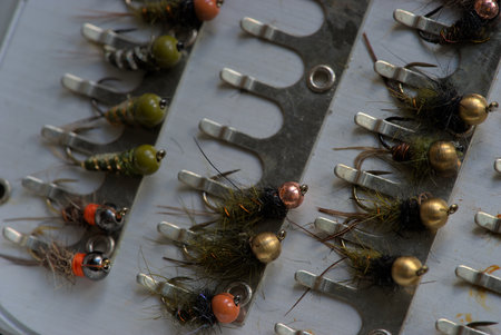 trout fly fishing storage box (nymphs)の写真素材