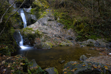Natural waterfall in the forest, magical atmosphereの写真素材