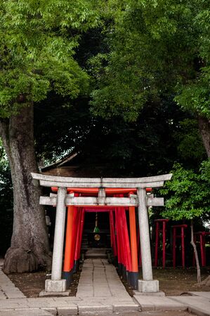 Torii the entrance gate of Shinto shrine.のeditorial素材