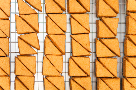 Triangle shape fried Tofu on tray.の写真素材