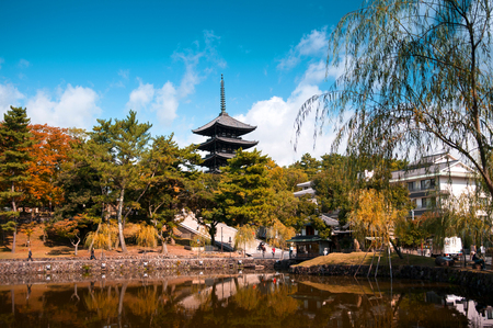 Toji pagoda one of popular attraction of Nara, Japanのeditorial素材