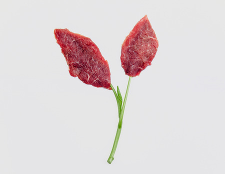 New food innovation, In Vitro Meat or Lab-grown meat. Producing from animal's cell, No killing.の写真素材