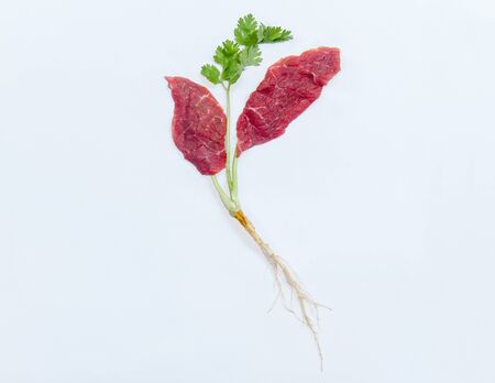 New food innovation, In Vitro Meat or Lab-grown meat. Producing from animal's cell, No killing.の写真素材