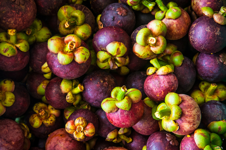 Thailand's fresh Mangosteens, The queen of fruit.の写真素材
