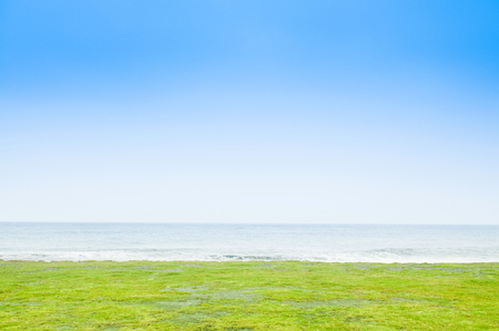 Grass field by the sea in Taitung city, Taiwan.の写真素材