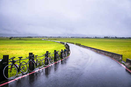 Bicycles and rice field after rain in Chihshang, Taitung, Taiwan.の写真素材