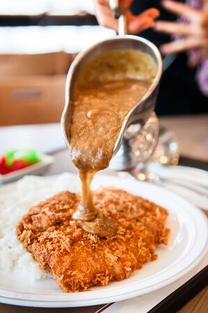 Tonkatsu, Pork cutlet, Katsu kere rice. Japanese famous dish.の写真素材