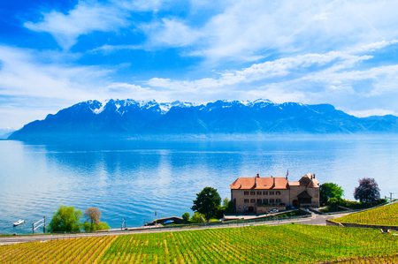 Vineyards in Lavaux against Geneva lake, Switzerlandのeditorial素材