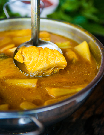 Thai southern style yellow curry with fish and bamboo shootsの写真素材