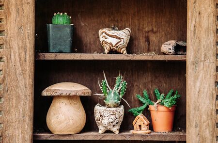 Vintage decoration various old cactus pots on wooden shelf and ornaments