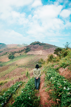 Female farmer is walking in strawberry farm on hills in Chiang Mai, Thailandの写真素材