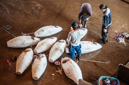 JUN 26, 2014 Kawasaki, Japan : Merchants in Japanese fresh fish market during tuna fish auction in morningのeditorial素材