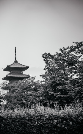 June 24, 2014, Ota-Ku, Tokyo, Japan : Ikegami Honmon-ji Temple and Japanese pagoda buildings behind tree in black and white. It honors Saint Nichiren who died hereのeditorial素材