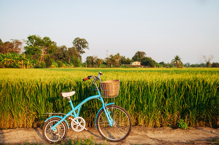Beautiful landscape of Rural dirt road tropical green rice field and bicycle in Koh Tepo, Uthaithani, Thailandの写真素材