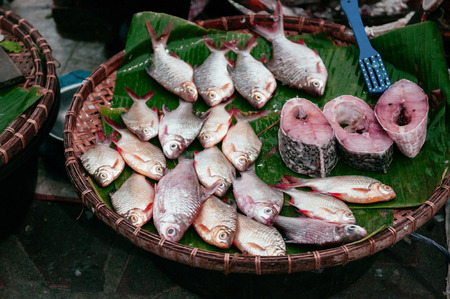 Fresh river fishes in Local Thailand morning market a traditional fish shop, front viewの写真素材