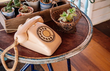 Retro old rose pastel vintage telephone on wood table with various cactus pots in old wooden box on wooden tableの写真素材