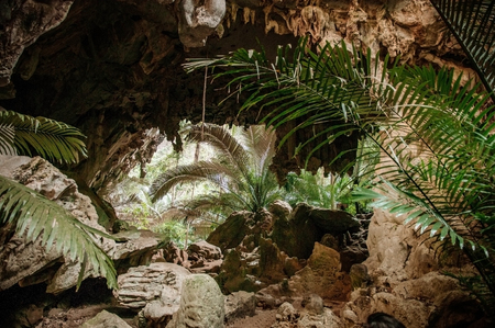 Uthai Thani - Thailand : Tropical forest rock cave travel in nature concept. Travel lifestyle  in nature forest. Hup Pa Tat, Thailandのeditorial素材