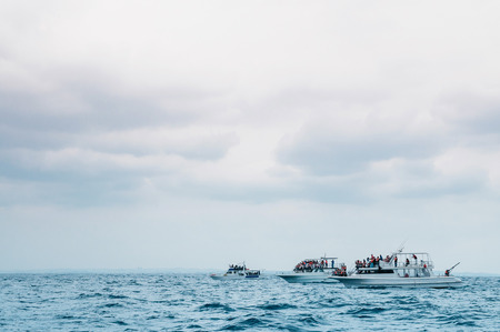 Tourist boats in ocean on cloudy day waiting for whale watching, Naha, Okinawaの写真素材