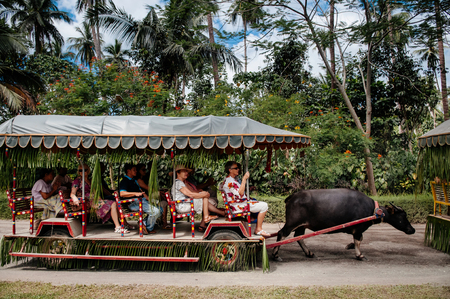 NOV 24, 2012 San Pablo, Philippines : Carabao cart ride or buffalo cart at Villa Escudero, Tiaong, Quezonのeditorial素材