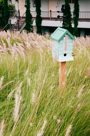 Vintage English country bird house in beautiful grass flowers fieldの写真素材