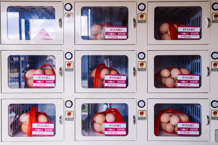 Nov 23, 2013 Hokkaido, Japan - Pile eggs in bags selling by vending machine at supermarketのeditorial素材