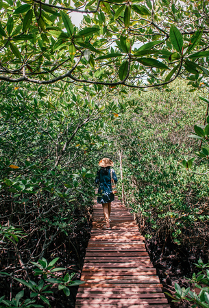 NOV 11, 2013 Samui, Thailand - Asian woman walking along Koh Tean wood bridge in lush natural mangrove forest near Samui island in summer, Thailand tropical island forestの写真素材