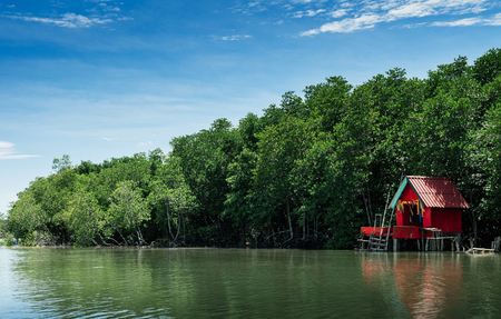 Red spirit shrine surrounded with green magle tree in Thailand tropical mangrove swamp forest lush evergreen nature river landscapeの写真素材