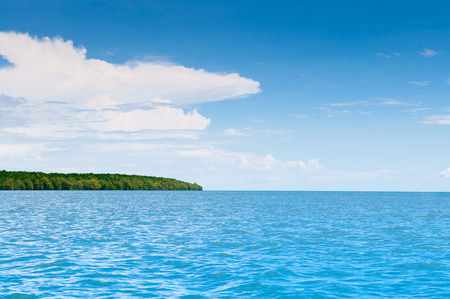 Skyscape blue summer sky with white clouds and tropical green lush mangrove forest in Trat, Thailandの写真素材