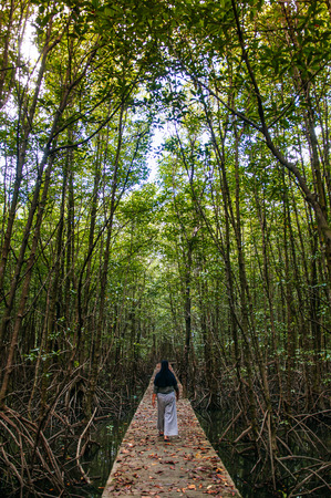 OCT 3, 2018 Trat, Thailand - Muslim woman on nature trail in Thailand tropical mangrove swamp forest with exotic tree and roots complexの写真素材