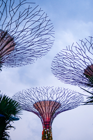 DEC 18, 2013 Singapore - Evening view of vibrant colourful modern design of Supertree grove at Garden by the bay, Singaporeのeditorial素材