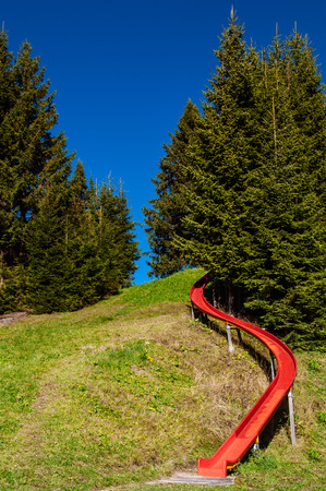 Mountain hill, grass hill pine forest and fun red slider in Marbachegg recreation area - Entlebuch Biosphere Reserve in central Switzerlandの写真素材