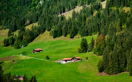 Farmland and rural cottages in suburb area of Montreux, Switzerland on bright sunny day in autumnの写真素材