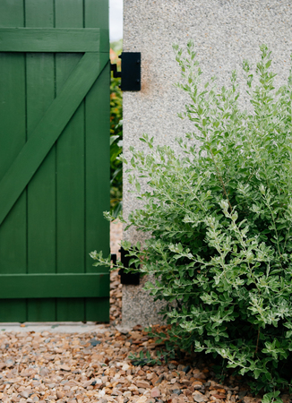 Garden green gate with plant shrub and stone ground. Small country home gardening design