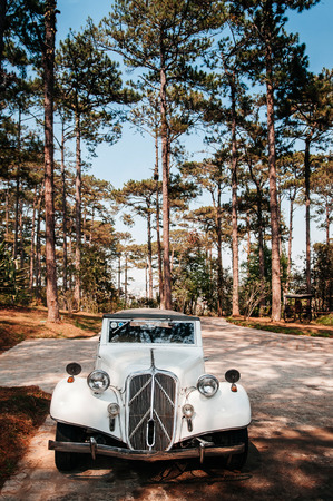 FEB 26, 2014 Dalat, Vietnam - Warm atmosphere and light through pine tree with white vintage luxury classic convertible car at colonial villaのeditorial素材