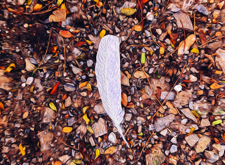 White bird feather on soil ground illustration graphic art colourful dry leaves - nature graphic wallpaper conceptの写真素材