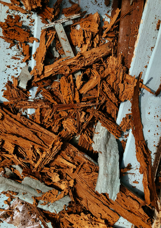 Damaged wood by Termites with a lot of holes - House stucture with serious termite problem - pile of...