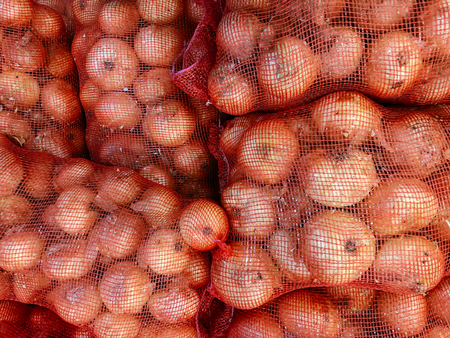 Pile of fresh Thai onion in colourful net mesh bags for wholesale market - Farm agricultural product industryの写真素材