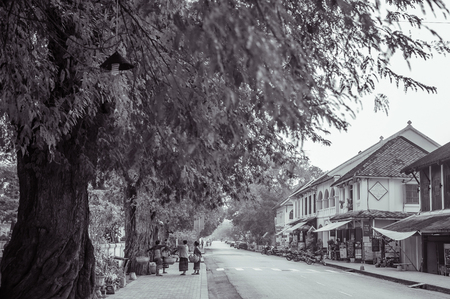 Local people at morning street Sisavangvong Road with big tree on sidewalk Luang Prabang, Laos - Black and whiteのeditorial素材