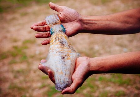 Beautiful very fresh raw cuttlefish squids in man hands - catch of the day seafood concept