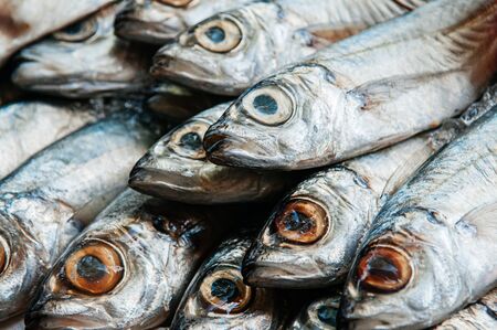 Fresh raw mackerel fish close up eyes and shiny skin details - Seafood market cooking ingredient conceptの写真素材