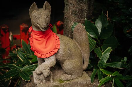 Kitsune Japanese Fox statue with red apron at Shinto shrine - Close up details - Japan god guard foxの写真素材