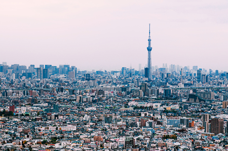 Tokyo, Japan - Aerial view Tokyo Sky tower and crowded buildings in residential area of Edogawa district. Scenery of outer area and downtown of Tokyo in evening.のeditorial素材