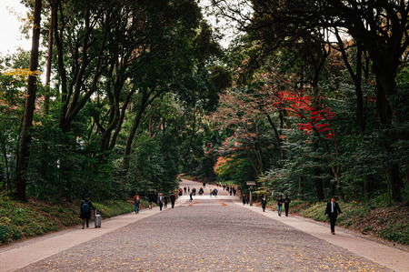 Tokyo, Japan - DECEMBER 5, 2018 : Meiji Jingu Shrine forest park with tourists walking on large...