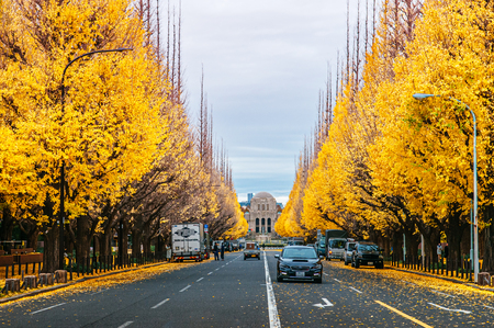 Tokyo, Japan - DECEMBER 5, 2018 : Tokyo rich yellow ginkgo tree along both side of Jingu gaien avenue in autumn with cars and Meiji Memorial Picture Gallery in background. Famous attraction in November and Decemberのeditorial素材