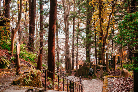 Yamagata, Japan - NOVEMBER 29, 2018 : Tourist on Yonsunmichi path in pine forest with evening light at Yamadera Risshaku ji temple in autumn.のeditorial素材