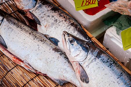 Whole fresh raw Japanese salmons on bamboo straw mat. Raw fish in Asaichi Morning Market, Hakodate -...