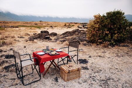 Safari outdoor picnic with African Tanzanian cuisine with baked Chapati nan flatbread on red table -...